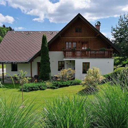 Apartmany 670 Pod Lysou Horou Rokytnice nad Jizerou Buitenkant foto