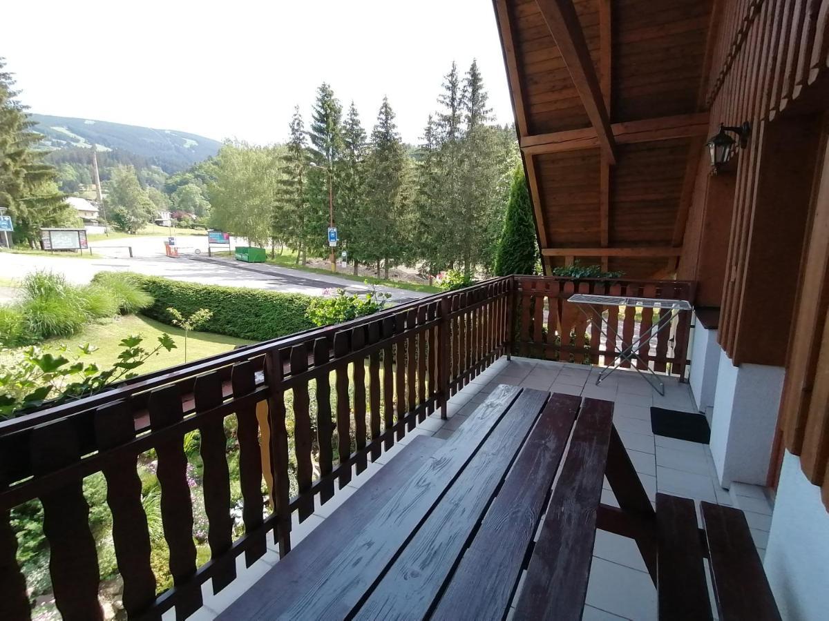 Apartmany 670 Pod Lysou Horou Rokytnice nad Jizerou Buitenkant foto