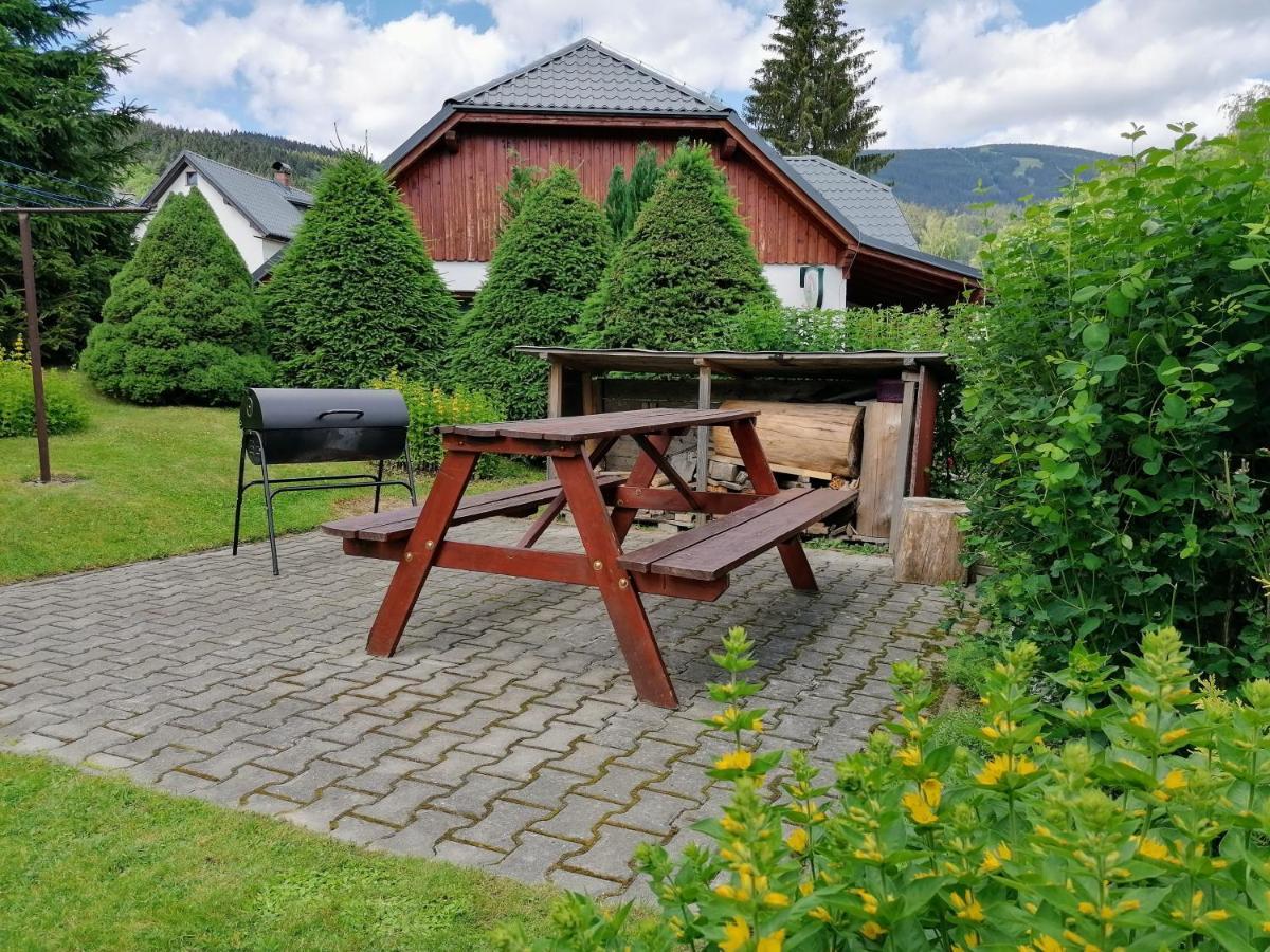 Apartmany 670 Pod Lysou Horou Rokytnice nad Jizerou Buitenkant foto